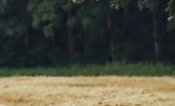 Amamentação e sono da mãe: 7 dicas para descansar melhor