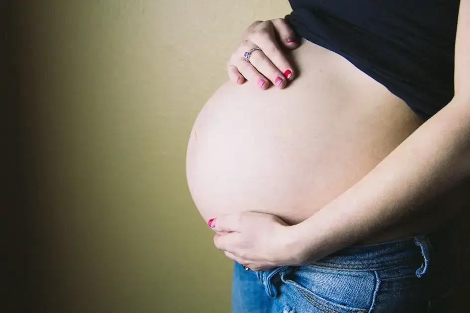 1. A importância da alimentacao da gestante