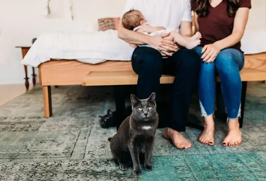 1. O que é parentalidade positiva?