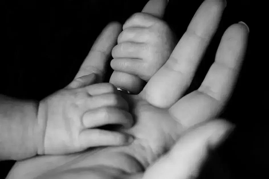 8. Quando considerar o desmame