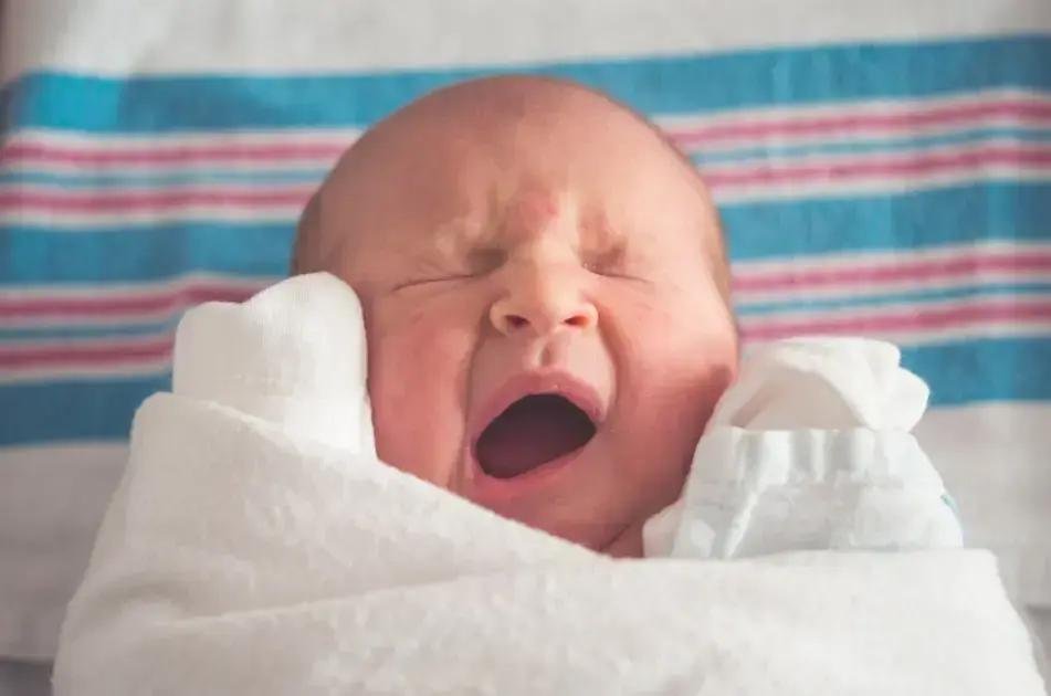 1. Por que meu bebe dorme pouco?
