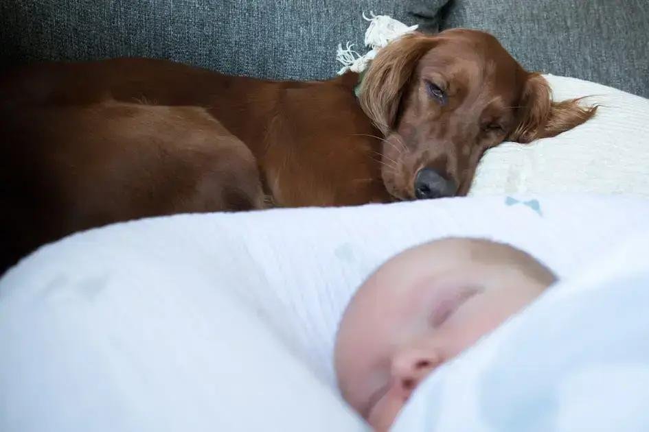 10. Preparando-se para os primeiros meses com um bebê