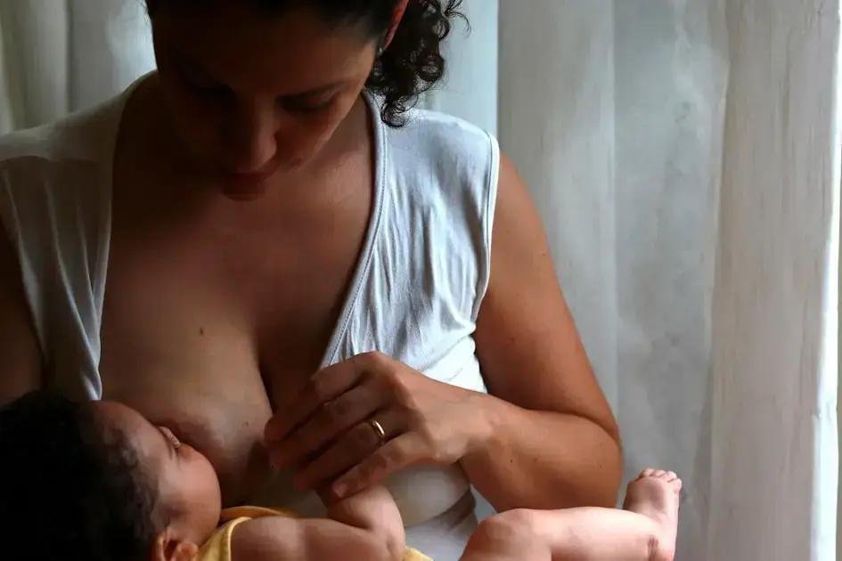 2. Benefícios do banho de balde para suas plantas
