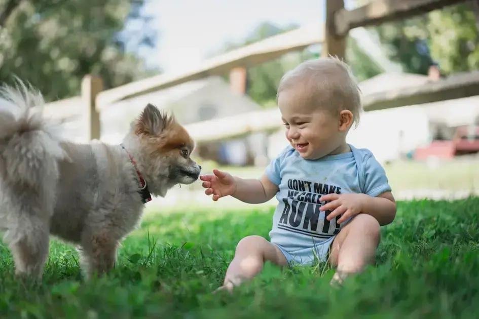 7. A chupeta e a amamentação: o que considerar?
