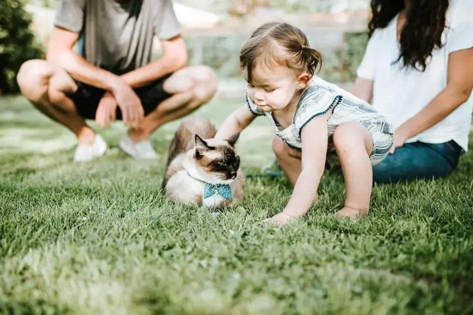 1. A importância do irmão mais velho na vida do bebê