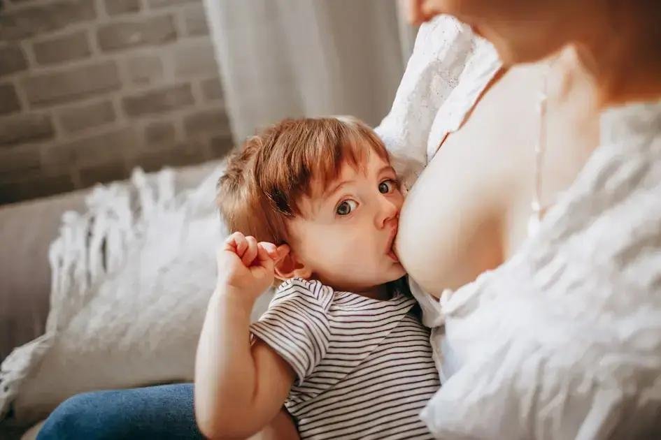1. O que são sopinhas para bebê?