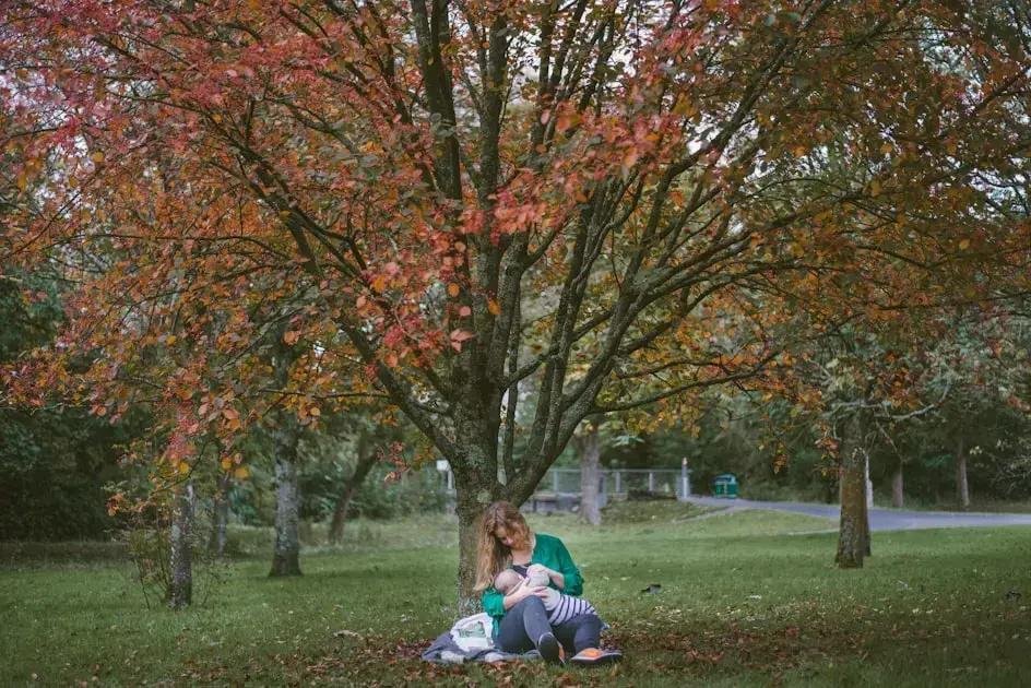 6. Alternativas à amamentação noturna