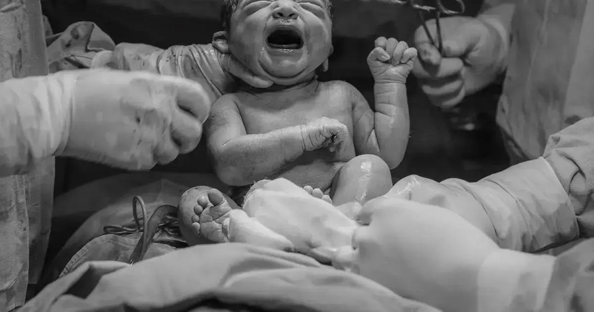 3. Como funciona o acompanhamento na gestação 3. Como funciona o acompanhamento na gestação