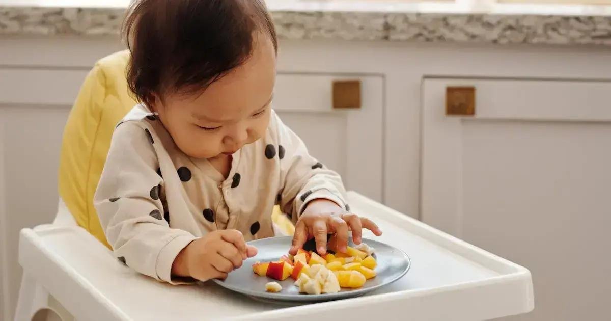 4. Receitas fáceis com novos ingredientes