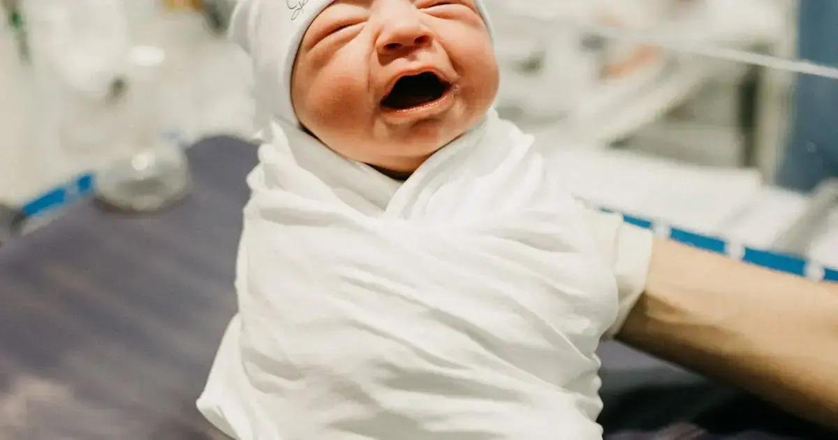 10. Onde comprar os melhores primeiros brinquedos 10. Onde comprar os melhores primeiros brinquedos