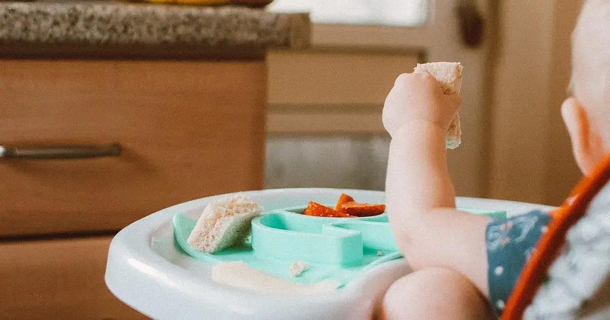 9. A rotina prática com papinhas congeladas