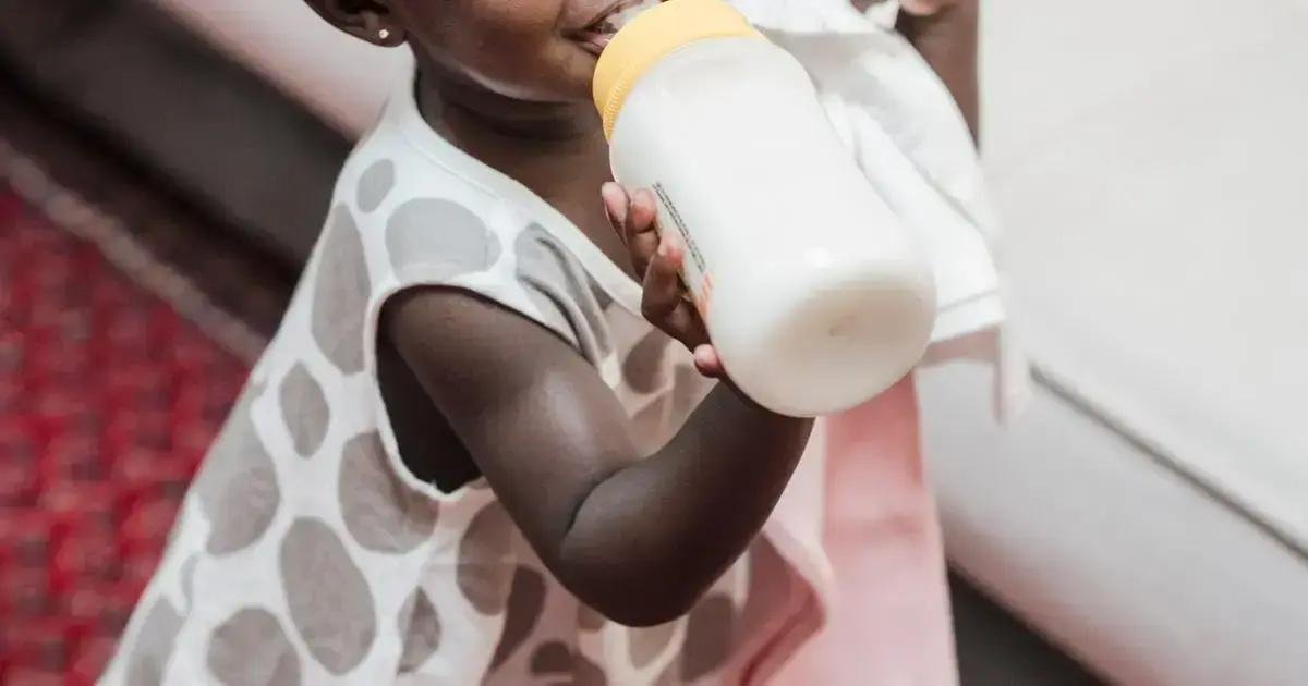 7. Alimentos essenciais para uma dieta equilibrada