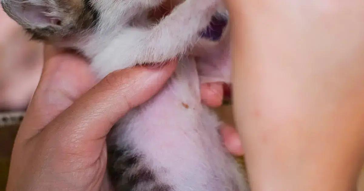 7. Dicas para aumentar a imunidade no inverno 7. Dicas para aumentar a imunidade no inverno