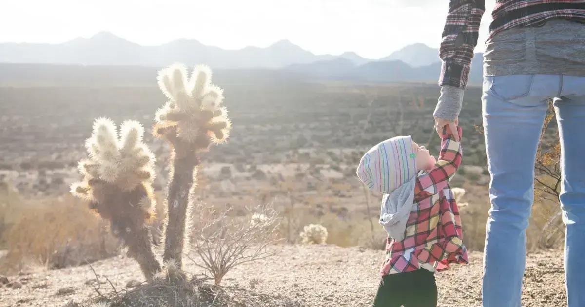 4. Preparando o ambiente para o desfralde