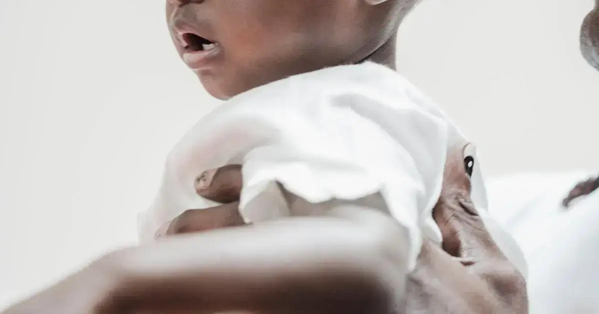 3. Como escolher os ingredientes ideais