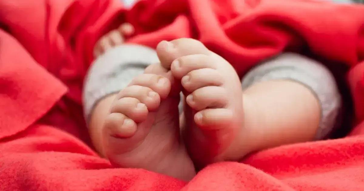 4. Alimentos que ajudam no crescimento dos cabelos do bebê