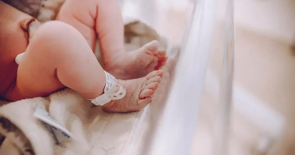 9. Raças de animais mais adequadas para famílias