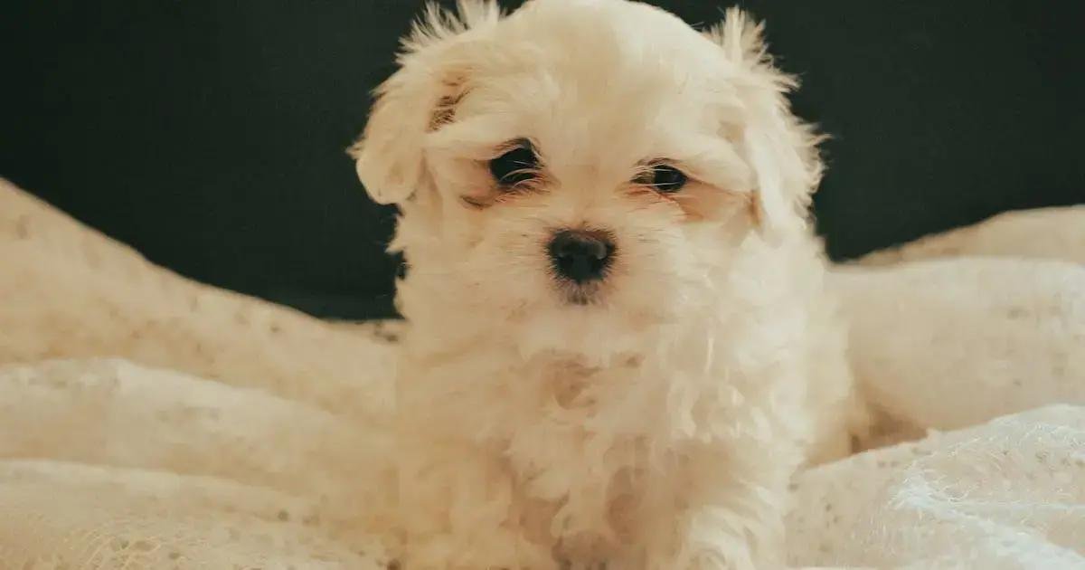 8. Quando procurar ajuda profissional?