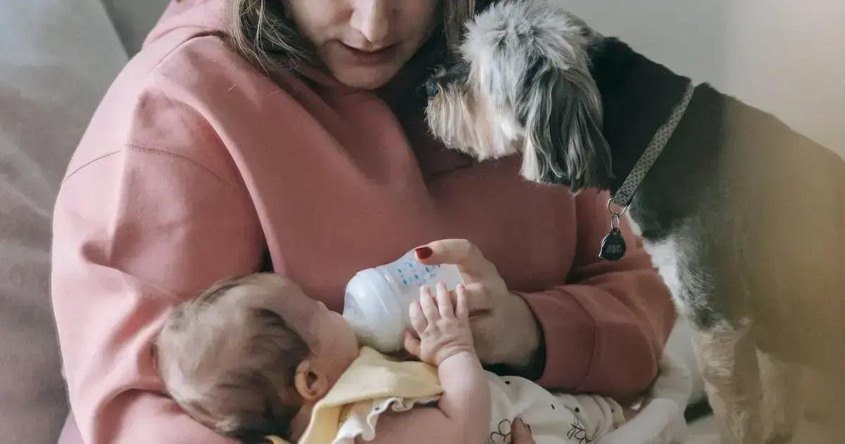 5. Como envolver outros familiares na rotina